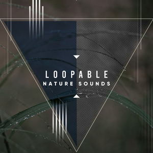 Drifitng Off in the Rain (Loopable, No Fade)