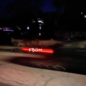 FBGM