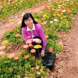 2009年妈妈生日快乐