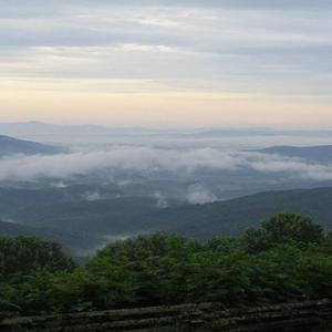 晚婚（翻自 隔壁老樊）