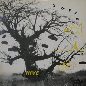 Sending Dazz To Kellogs