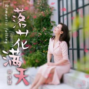 落花满天（DJ版）