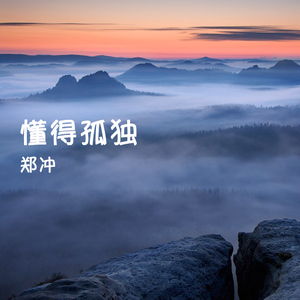 被你抛弃的这段爱