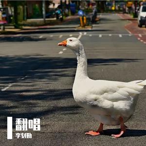 异想记（完整版）（翻自 杨幂）