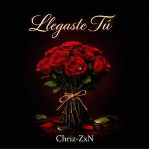 Llegaste Tu