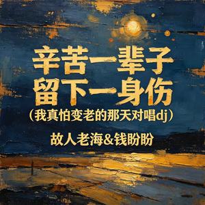 辛苦一辈子 留下一身伤（我真怕变老的那天对唱dj）