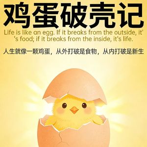 鸡蛋破壳记