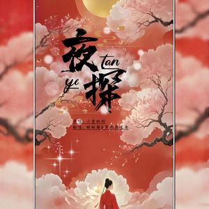 夜探