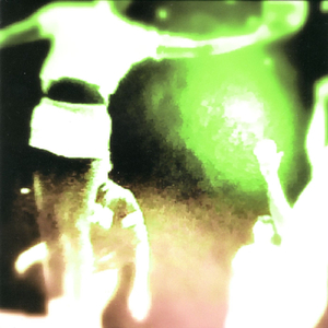 The Clement, The Concealing