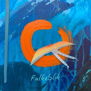 Falkeblik