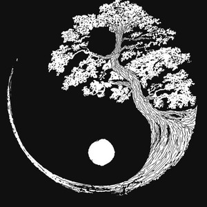 Dream