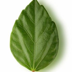 相遇论【双小少年ver】