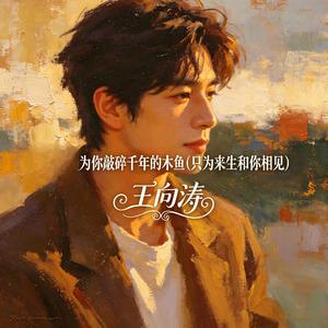 为你敲碎千年的木鱼(只为来生和你相见)
