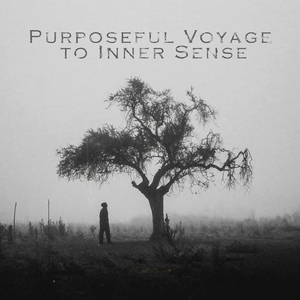 Purposeful Voyage to Inner Sense