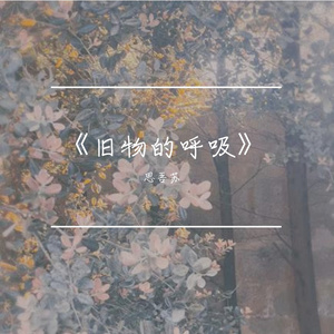 《旧物的呼吸》