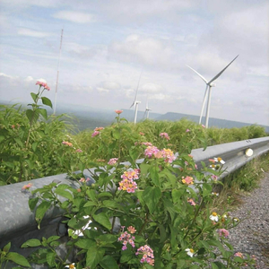 เหลือไว้แค่เพียงความทรงจำ