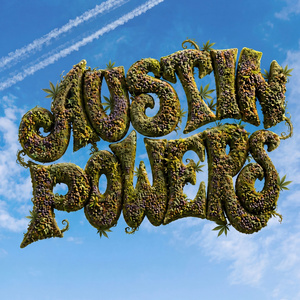 AUSTIN POWERS