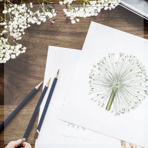 공부할 때 집중력을 높여주는 피아노