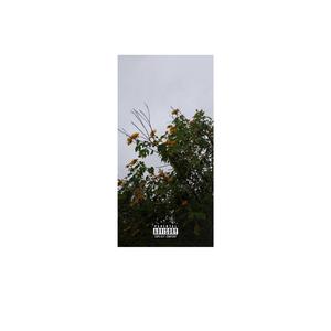 Dreamer (feat. ANditsDre)