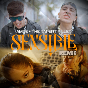 Sensible (Remix)