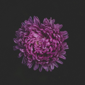 Decay