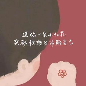 送你一朵小红花（钢琴）（原唱：赵英俊）