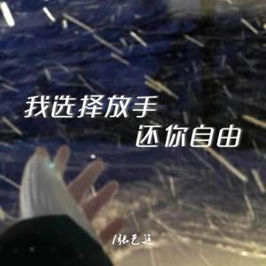我选择放手还你自由