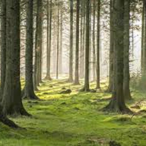 Life (freestyle) *old*