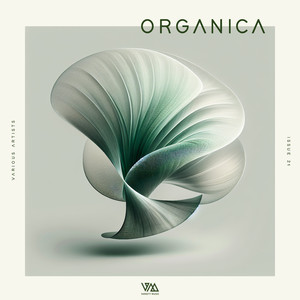 Moonlight Forest (Ilias Katelanos Remix)