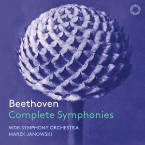 Symphony No. 9 in D Minor, Op. 125 "Choral": IV. Finale