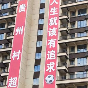 人生就该有追求 - 群星