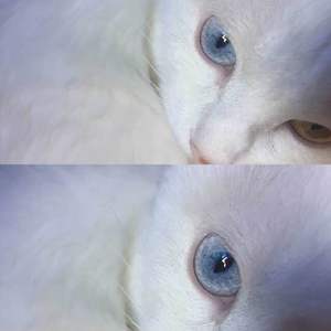 教我如何不爱你