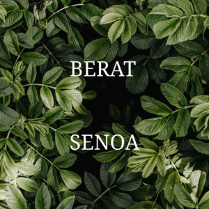 Berat (Acoustic)