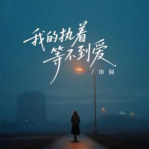 我的执着等不到爱