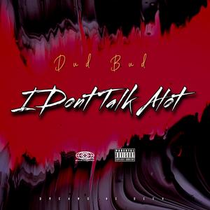 I Don’t Talk Alot