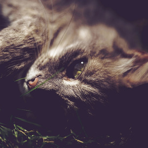 I Love That Feeling in the Morning