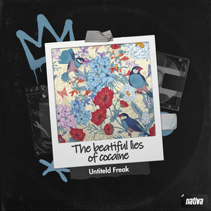 The beatiful lies of cocaine (Radio Edit)