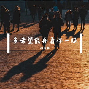 多希望能再看你一眼