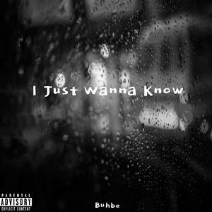 I Just Wanna Know