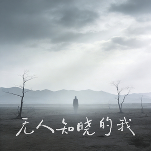 无人知晓的我