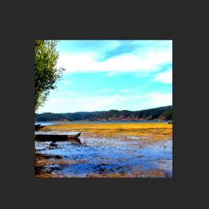 "彩云之南"R&B & 中国风Type Beat