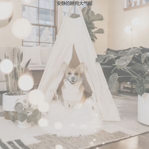 有趣孤独的狗情怀