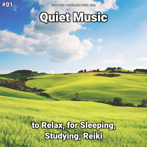 Soothing Music for Sleeping