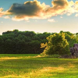 田野上的小屋 (5)