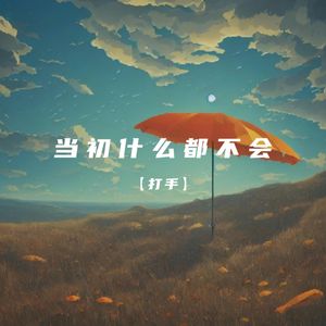 当初什么都不会