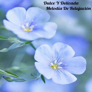 Gestionar Tus Emociones