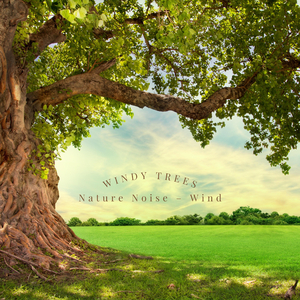 The Moving Tree Branches