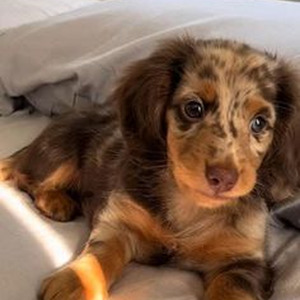 Busta F***in Problem (slowed)