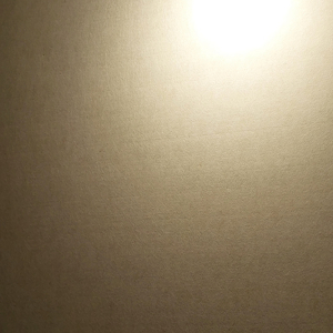 December 1st (12월 1일)