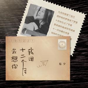 我用十二个月去想你